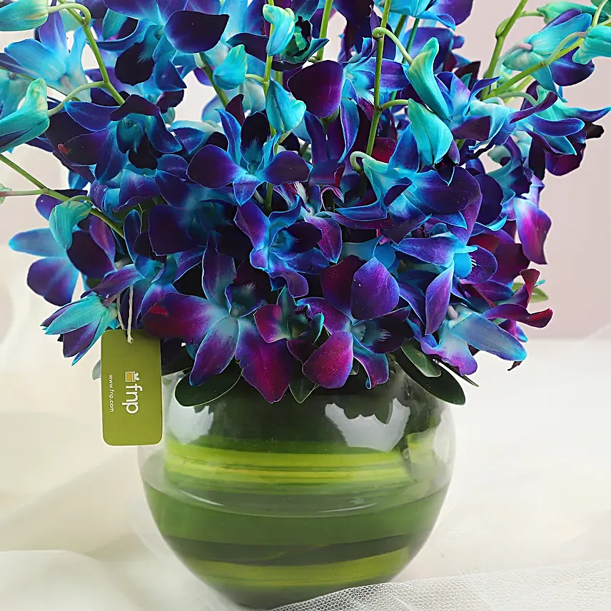 Land Of Beauty Vase Arrangement