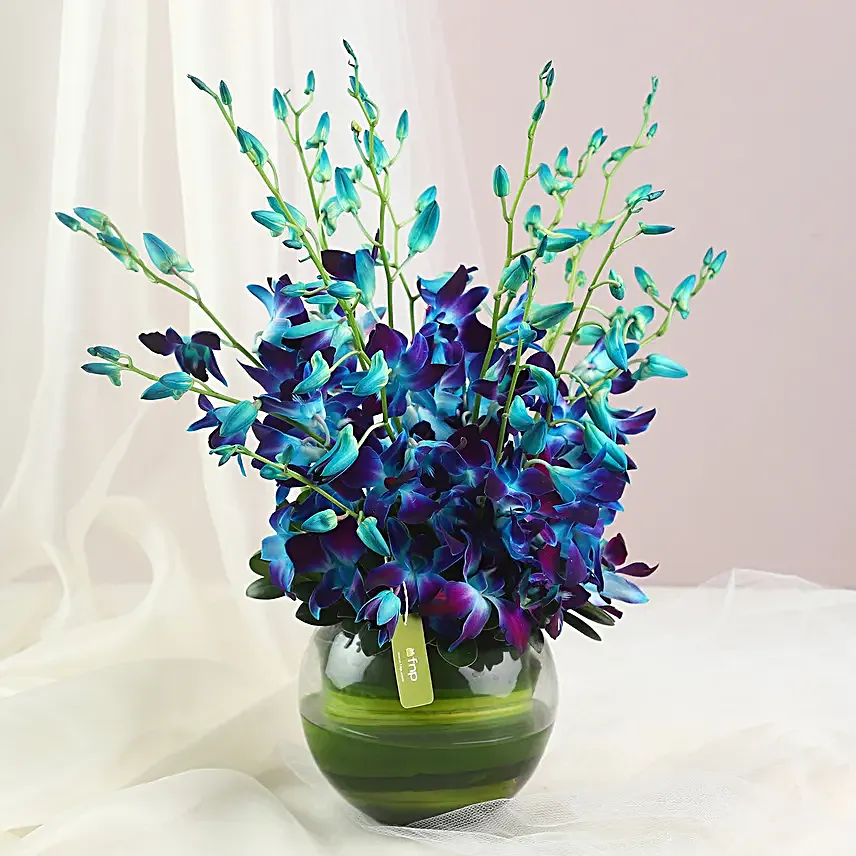 Land Of Beauty Vase Arrangement