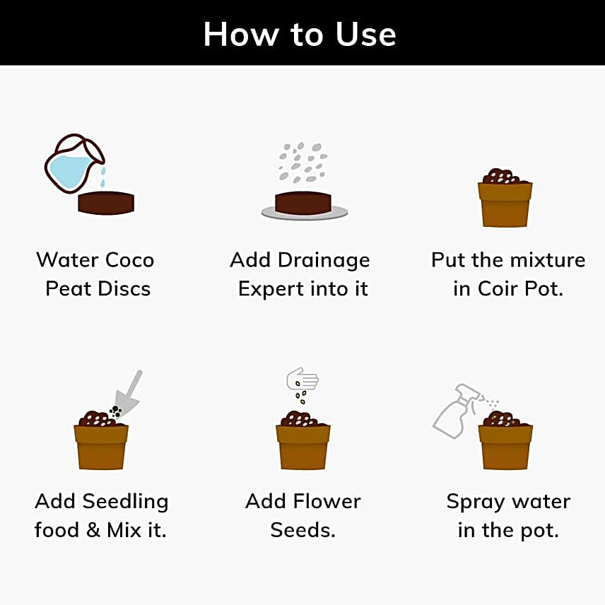 Lazy Gardener DIY Flower Grow Kit