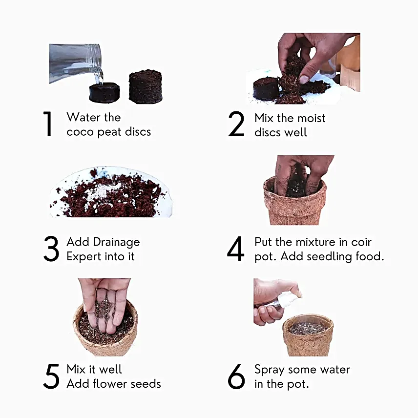 Lazy Gardener DIY Flower Grow Kit
