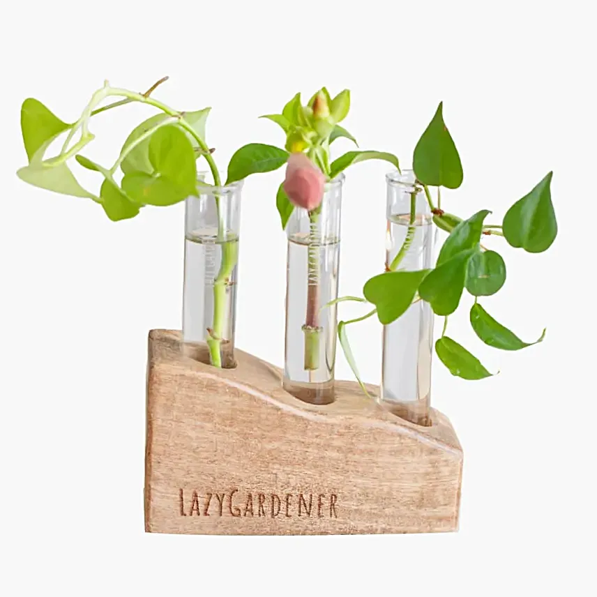 Lazy Gardener Mango Wood Planter