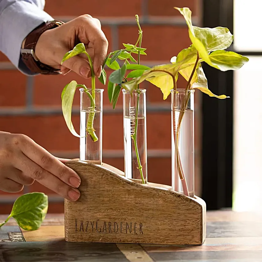 Lazy Gardener Mango Wood Planter