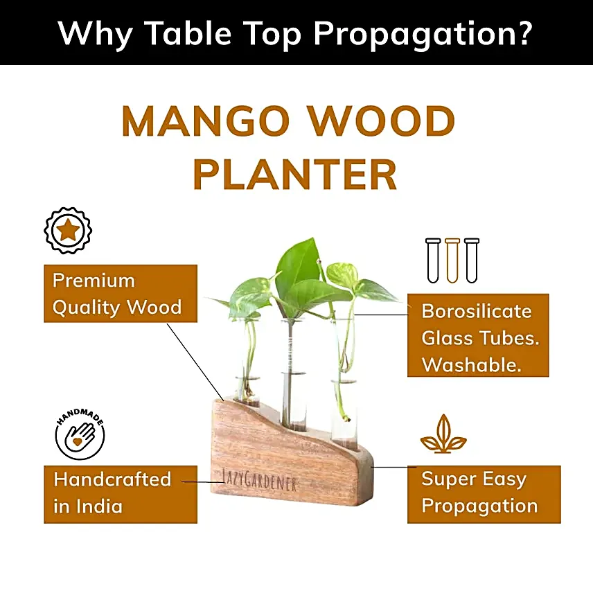 Lazy Gardener Mango Wood Planter