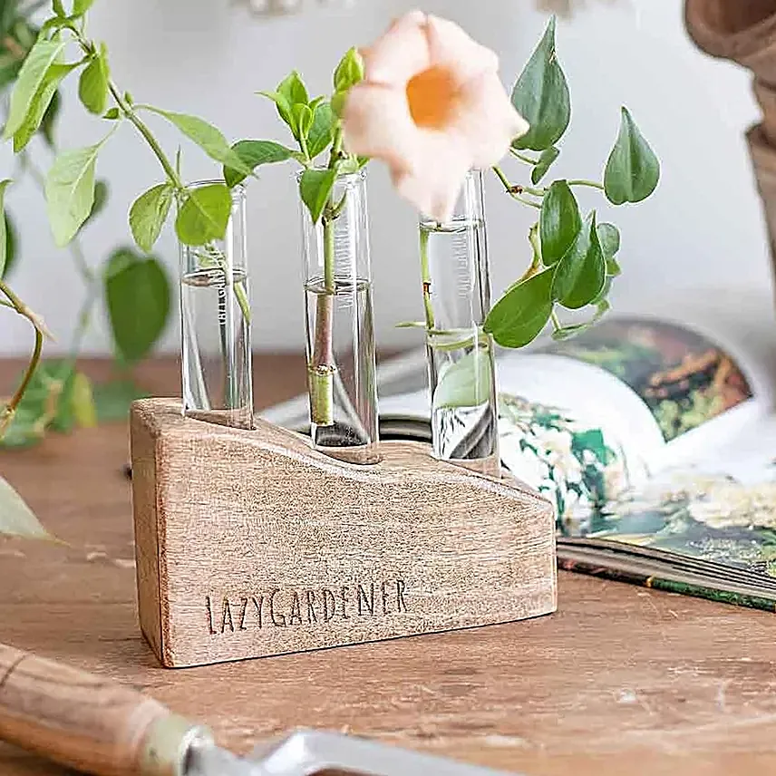 Lazy Gardener Mango Wood Planter