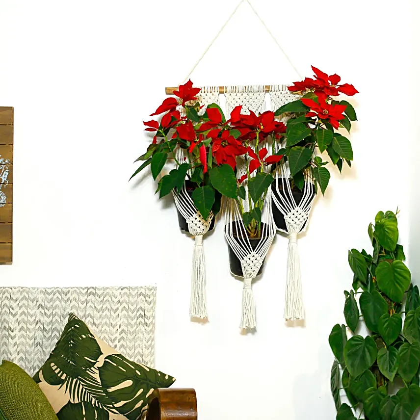 Lazy Gardener Tai Chi Boho Hanger