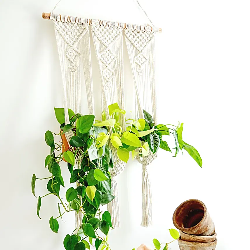 Lazy Gardener Tai Chi Boho Hanger