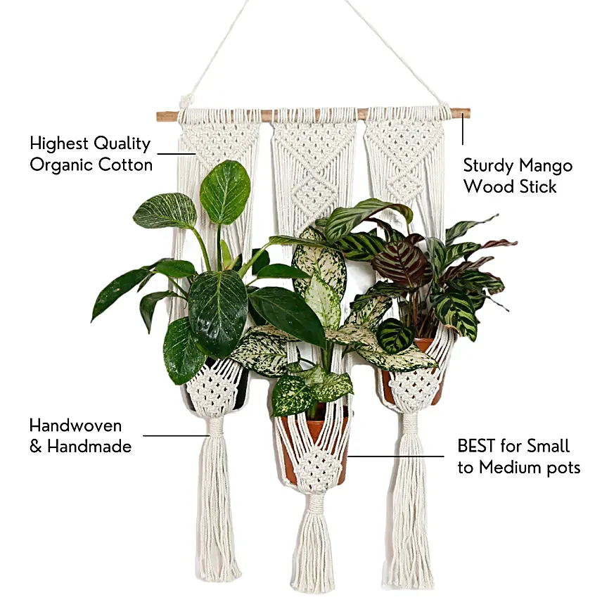 Lazy Gardener Tai Chi Boho Hanger