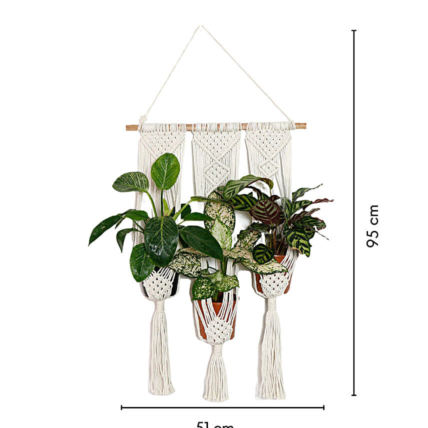 Lazy Gardener Tai Chi Boho Hanger
