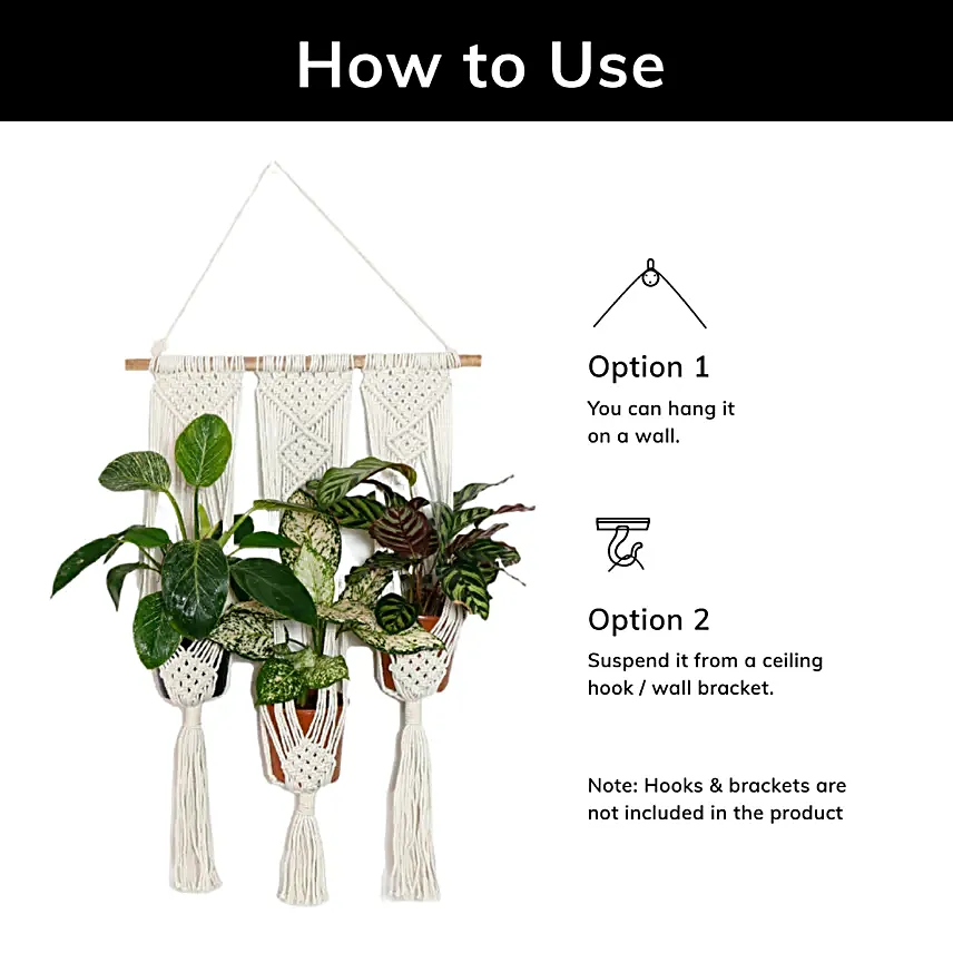 Lazy Gardener Tai Chi Boho Hanger