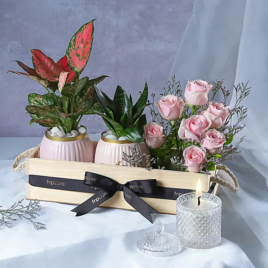 Leafy Luxuries