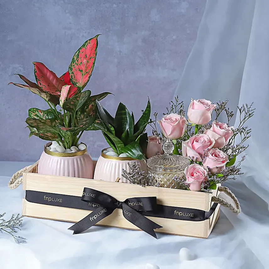 Leafy Luxuries