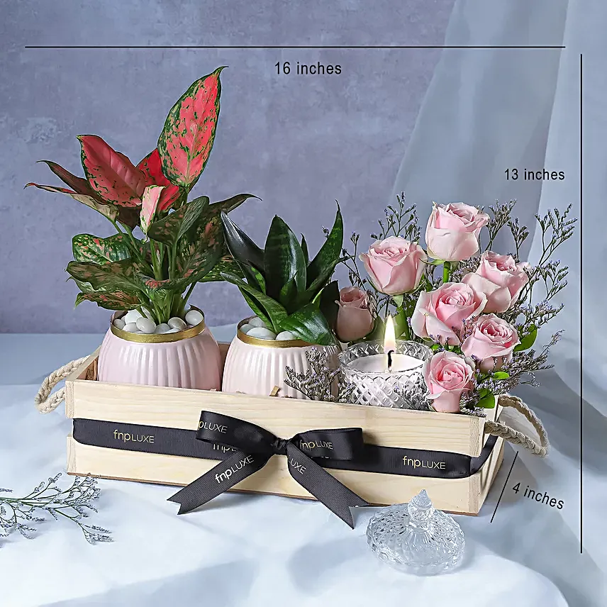 Leafy Luxuries