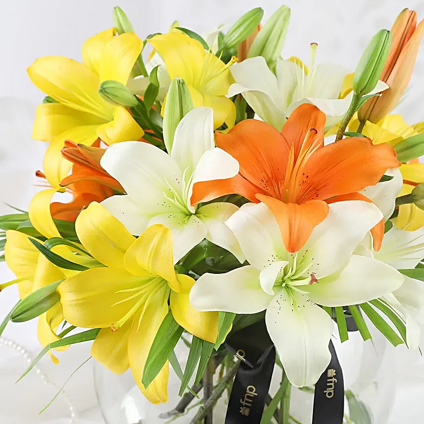 Lilies and Cake Fiesta