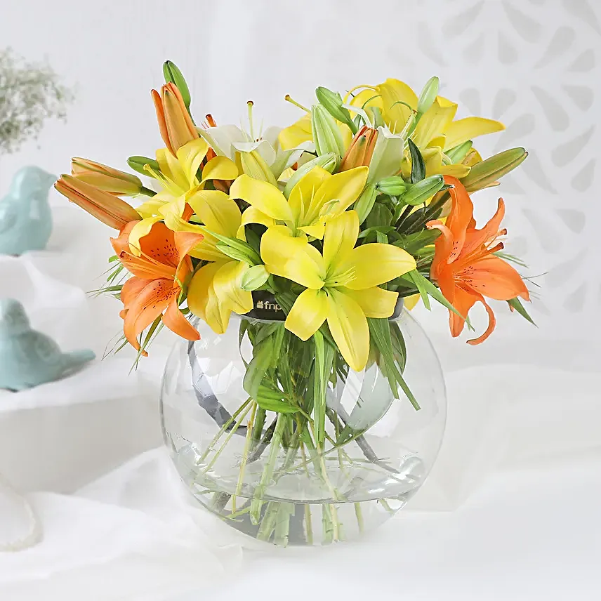 Lilies and Cake Fiesta