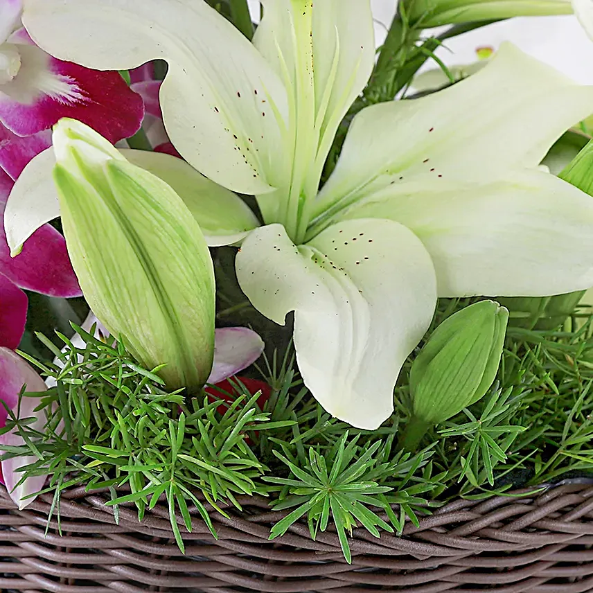 Always Works - Basket arrangement of 2 White asiatic lilies and 6 Purple Orchids.