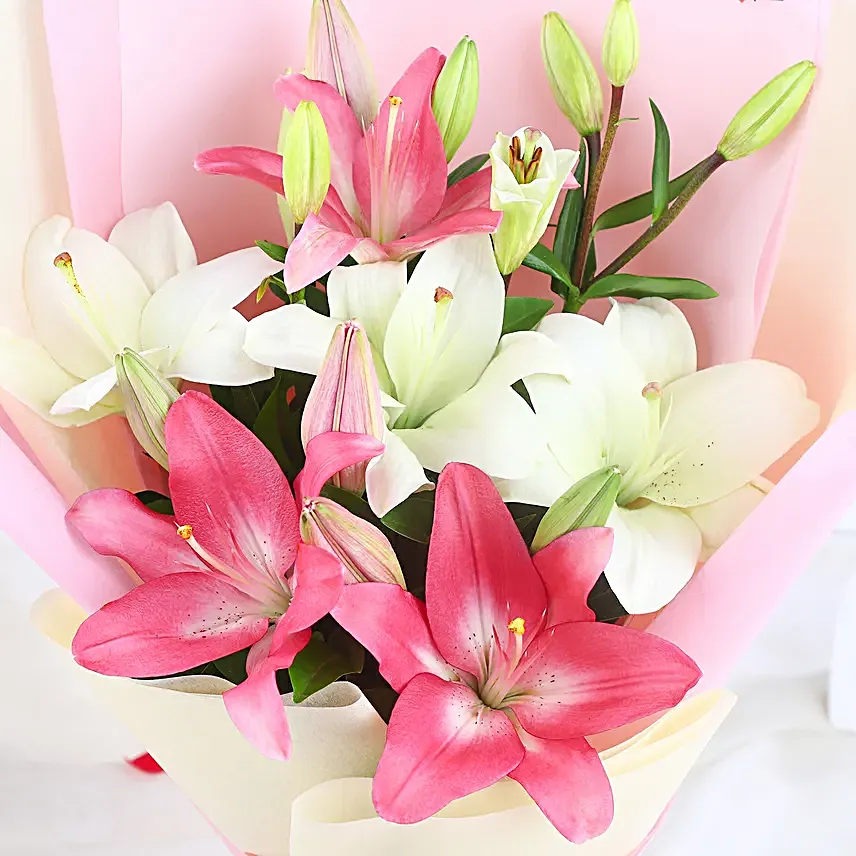 Lily Game of Romance
