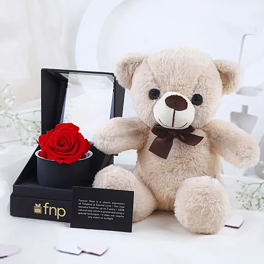 Love Cuddles Valentine Combo