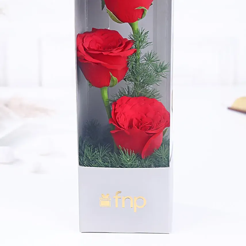 Love Infused Roses N Jade Plant Combo