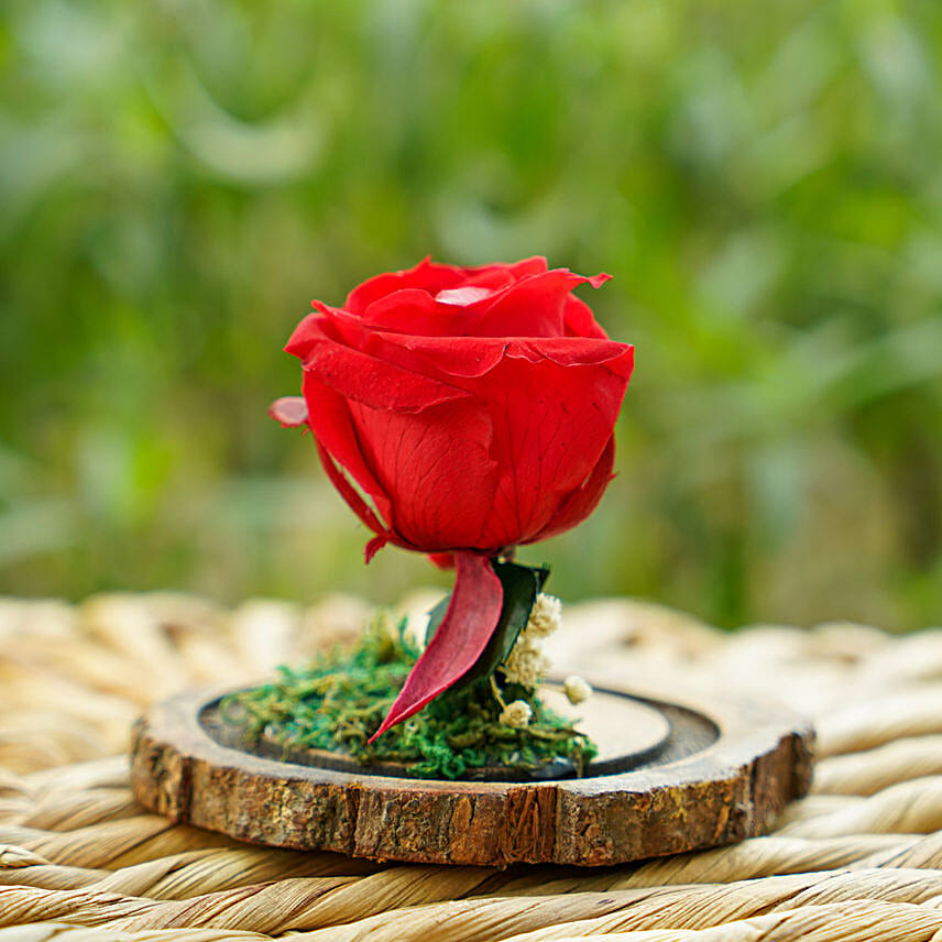 Love Infusion For Valentines