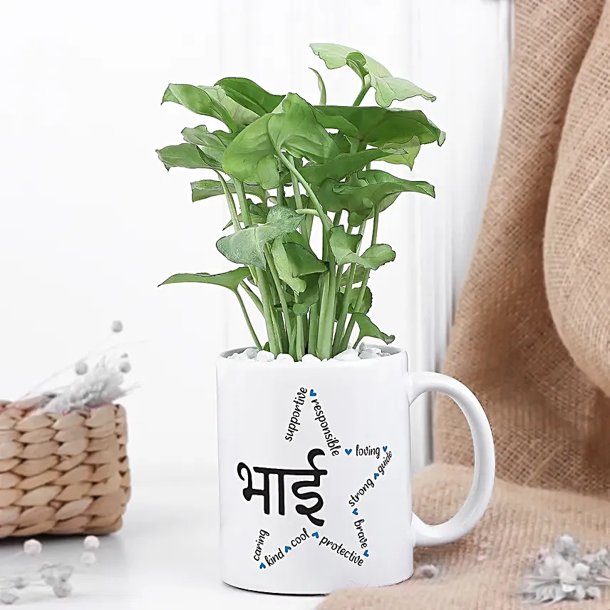 Love Planted Money Plant in Mug for Bhai