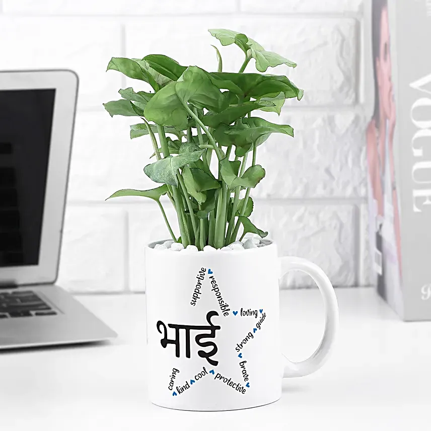 Love Planted Money Plant in Mug for Bhai