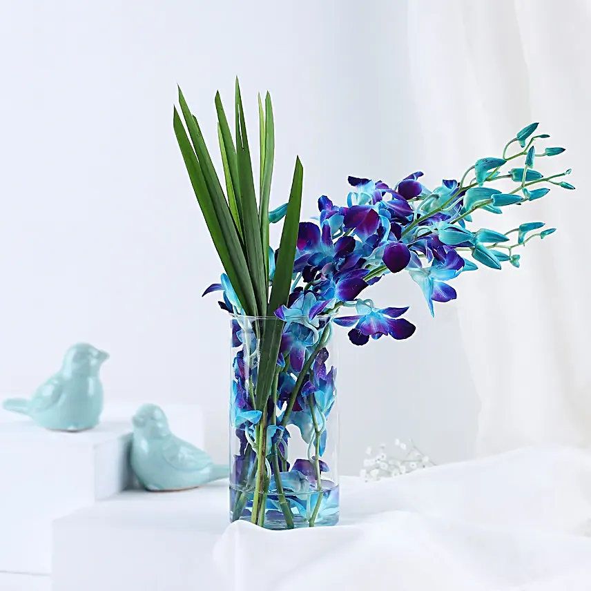 Lovely Orchids & Dandella In Cylindrical Vase