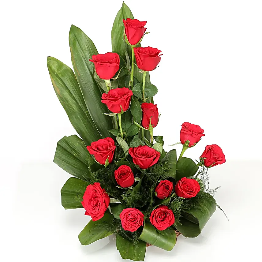 Cane basket arrangement of 15 red roses, draceane leaves and seasonal filler