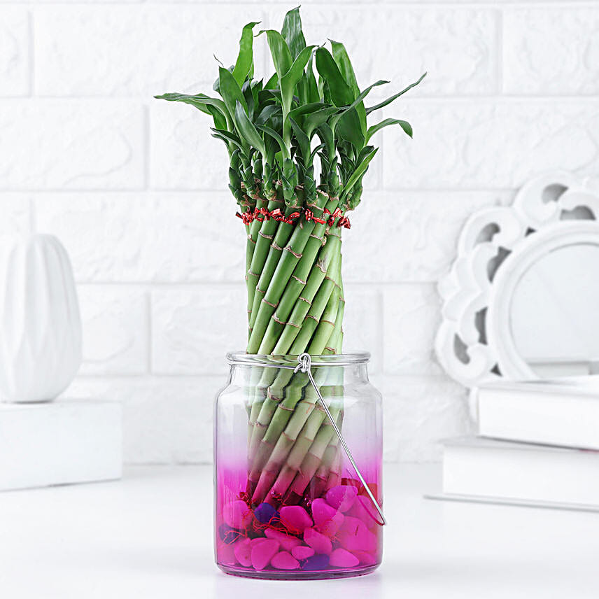 Lucky Bamboo Bliss