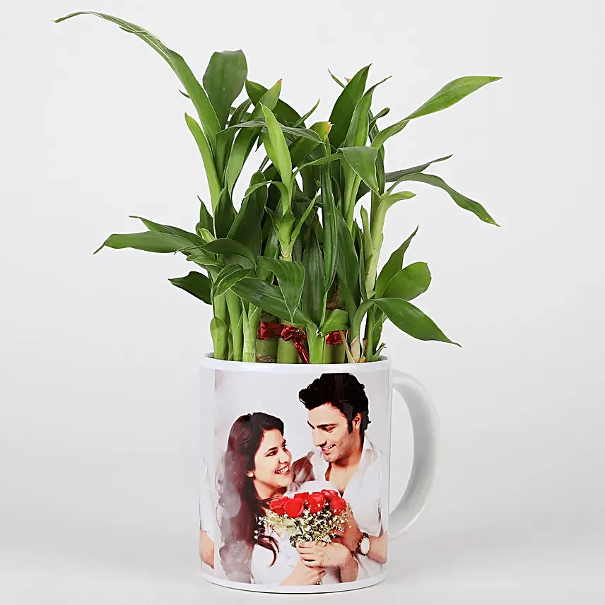 Online Personalised Lucky Bamboo