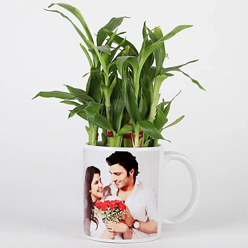Online Personalised Lucky Bamboo