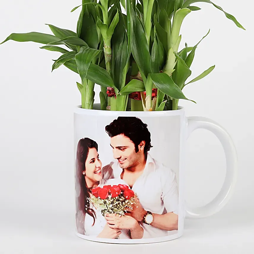 Online Personalised Lucky Bamboo