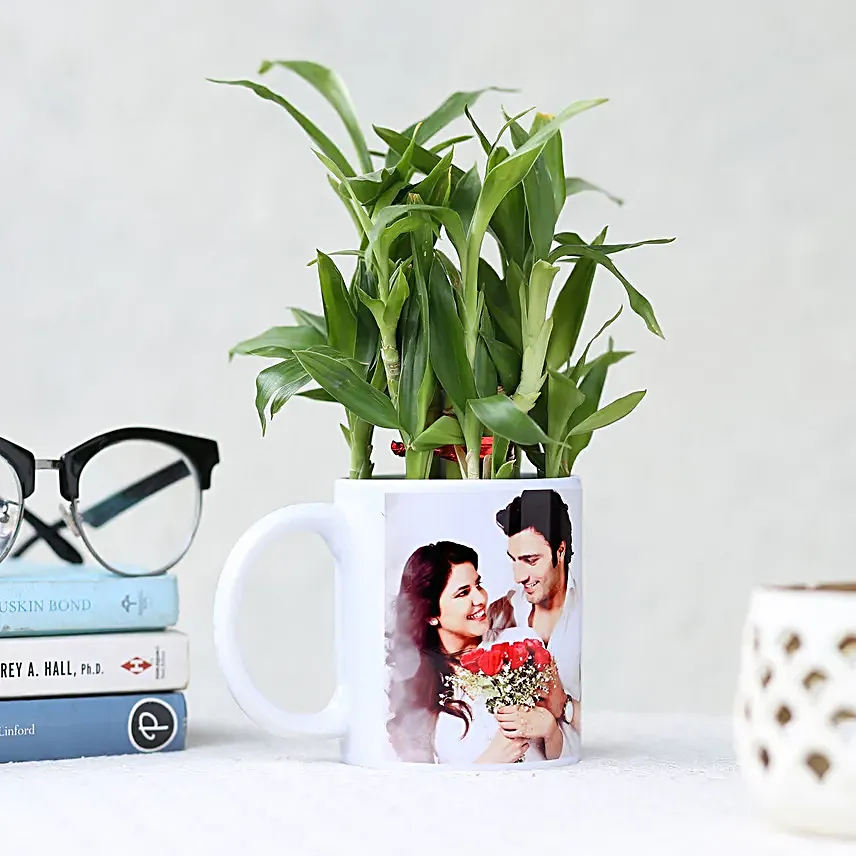 Online Personalised Lucky Bamboo