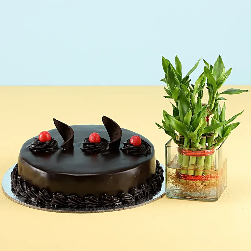 2 layer Bamboo with truffle cake
