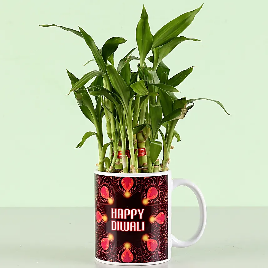 diwali customised mug with plant for girlfriend