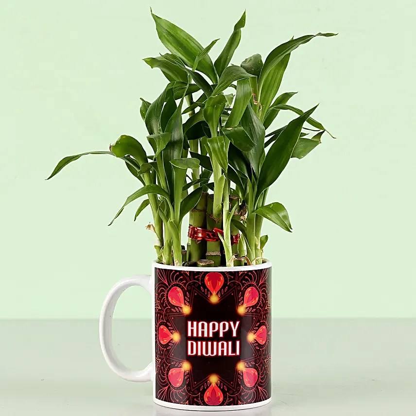 diwali customised mug with plant for girlfriend