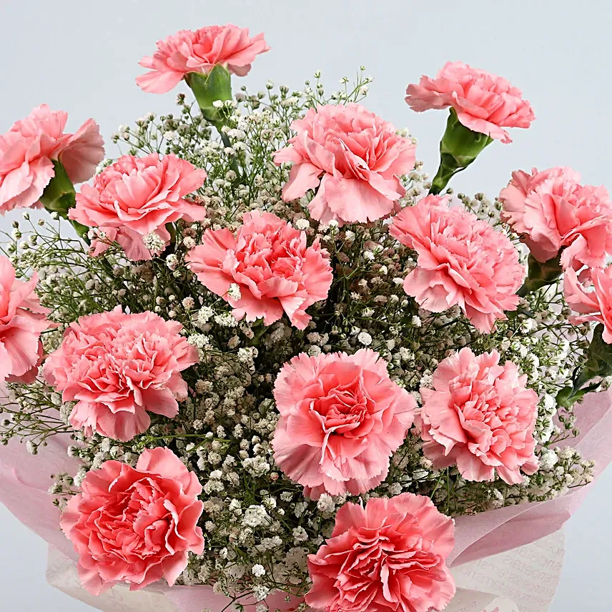 Magical Dust Carnations N Truffle Cake Combo