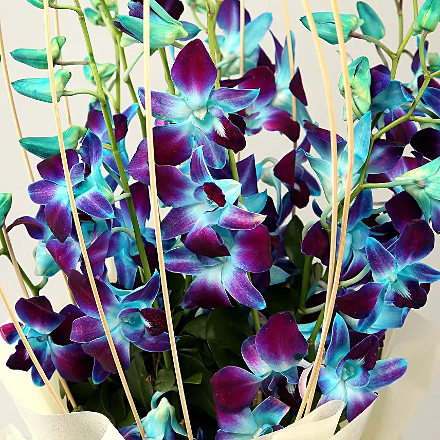 Magical Story Orchids Bouquet