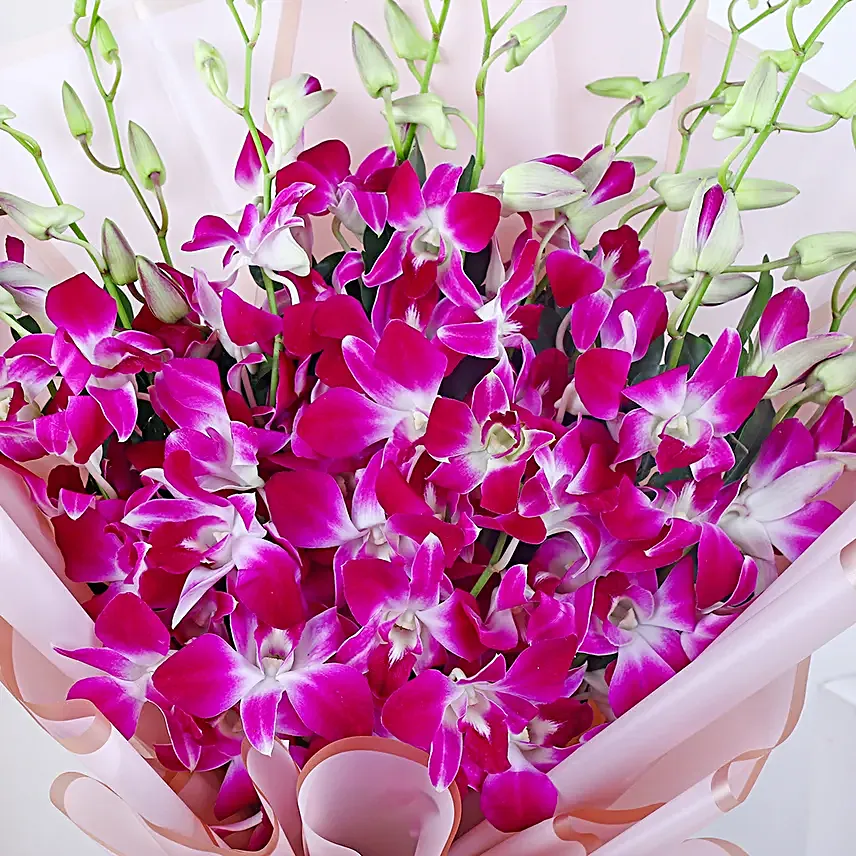 Majestic Purple Orchid Affair