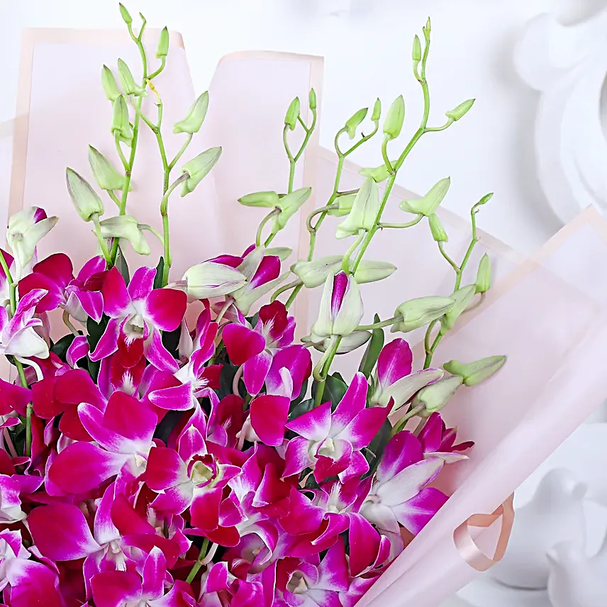 Majestic Purple Orchid Affair