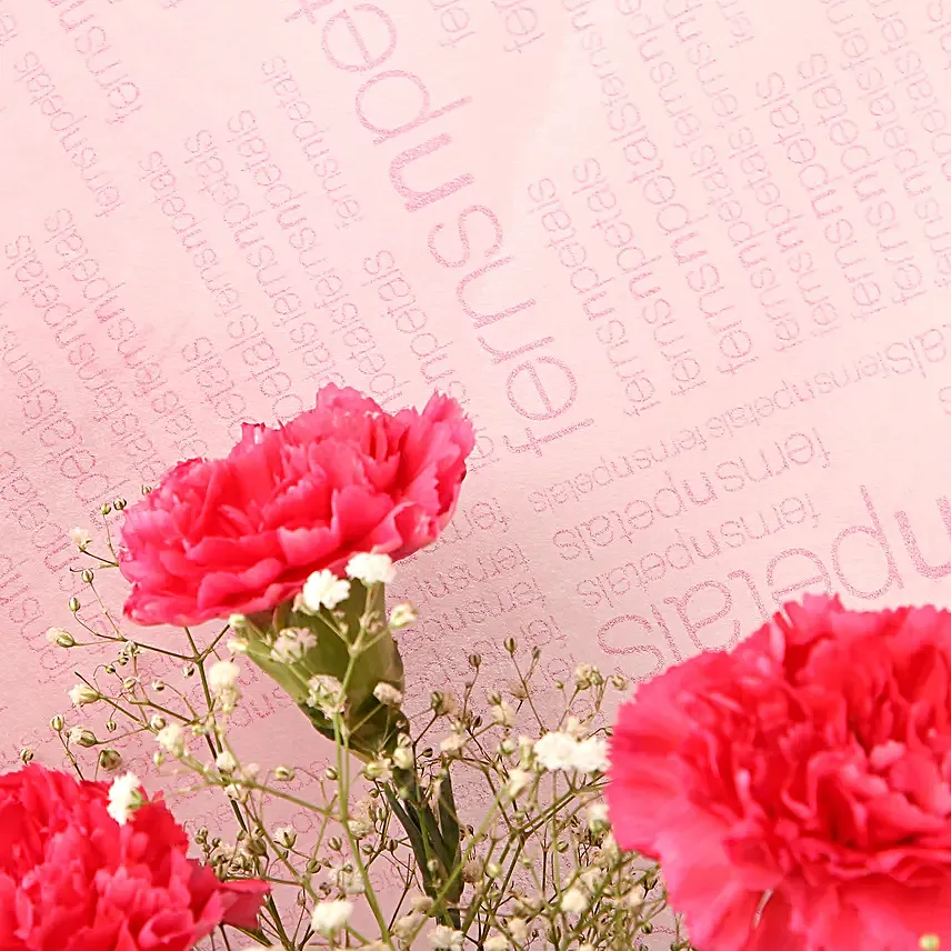 Make You Mine Carnations Bouquet