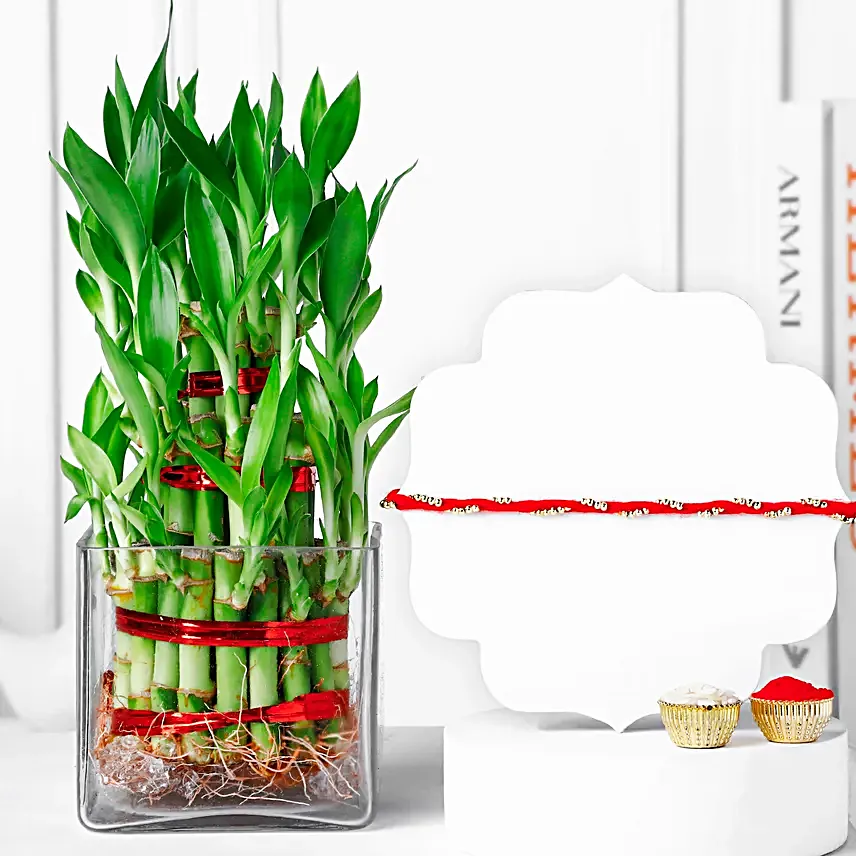 Mauli Rakhi With Prosperity Bamboo Duo