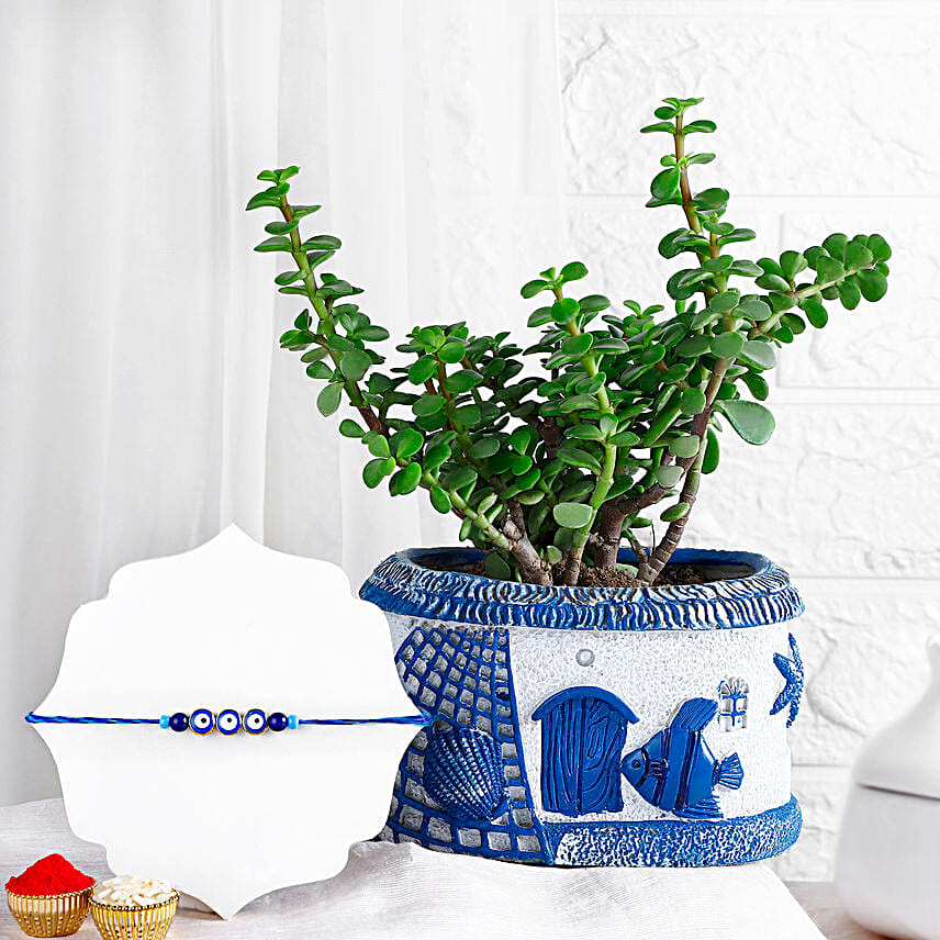 Meenakari Floral Rakhi N Syngonium Plant Pot Gift