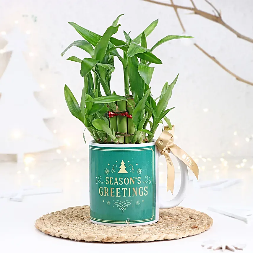 Merry Bamboo Mug Ensemble
