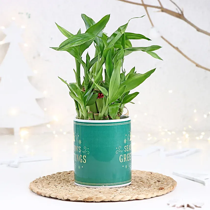 Merry Bamboo Mug Ensemble