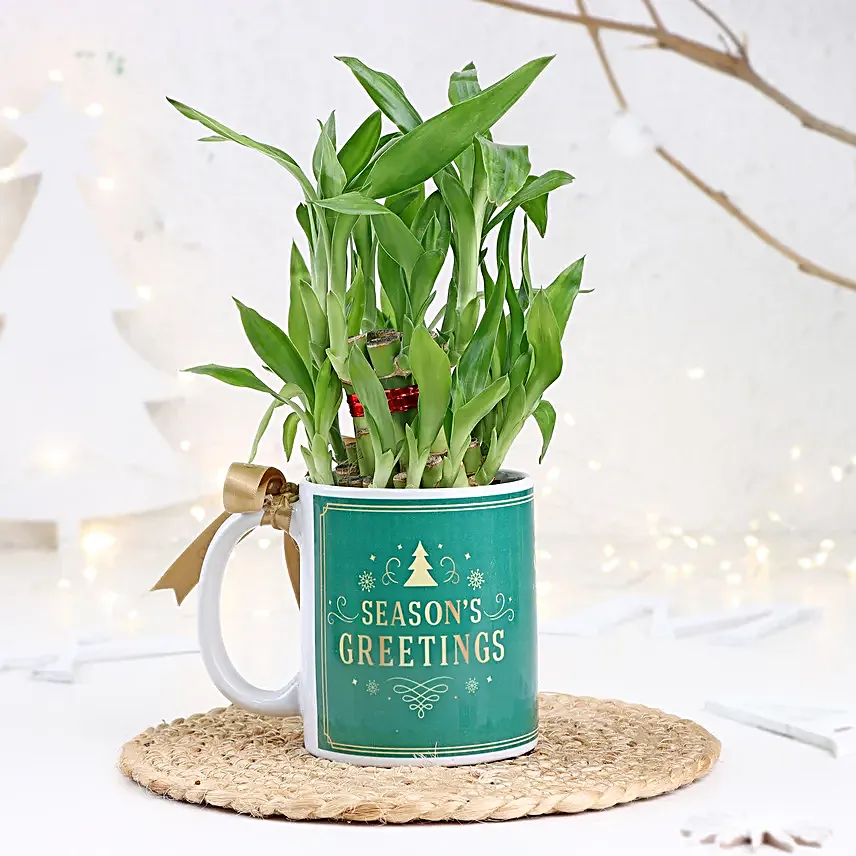 Merry Bamboo Mug Ensemble
