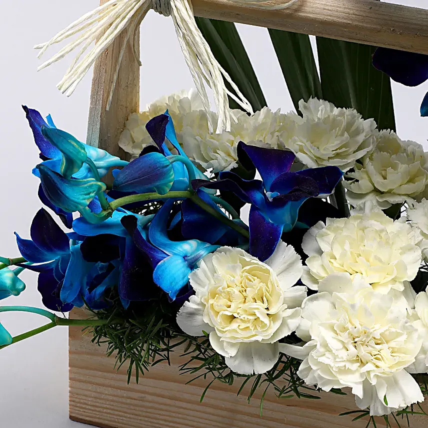 Mesmerising Orchids & Carnations Arrangement