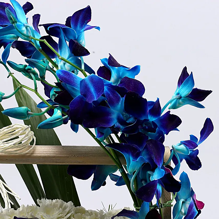 Mesmerising Orchids & Carnations Arrangement