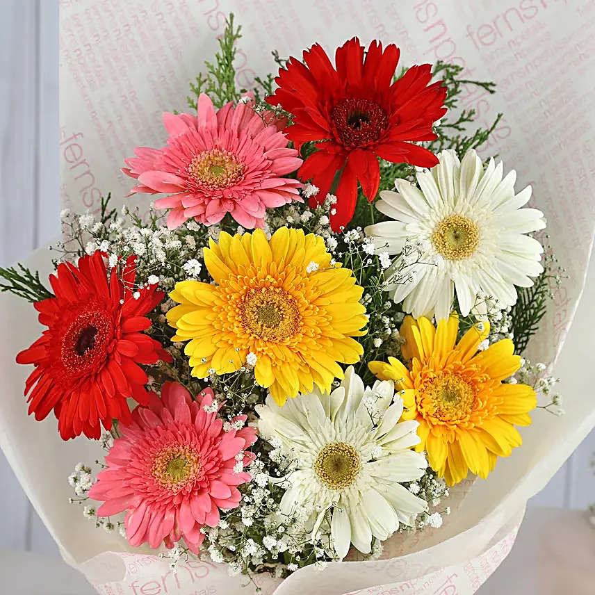Mixed Brilliance Gerbera Blossoms