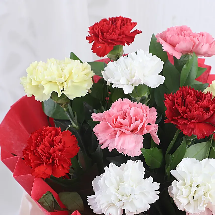Mixed Colored For Love - Bunch of 10 mix color carnations.