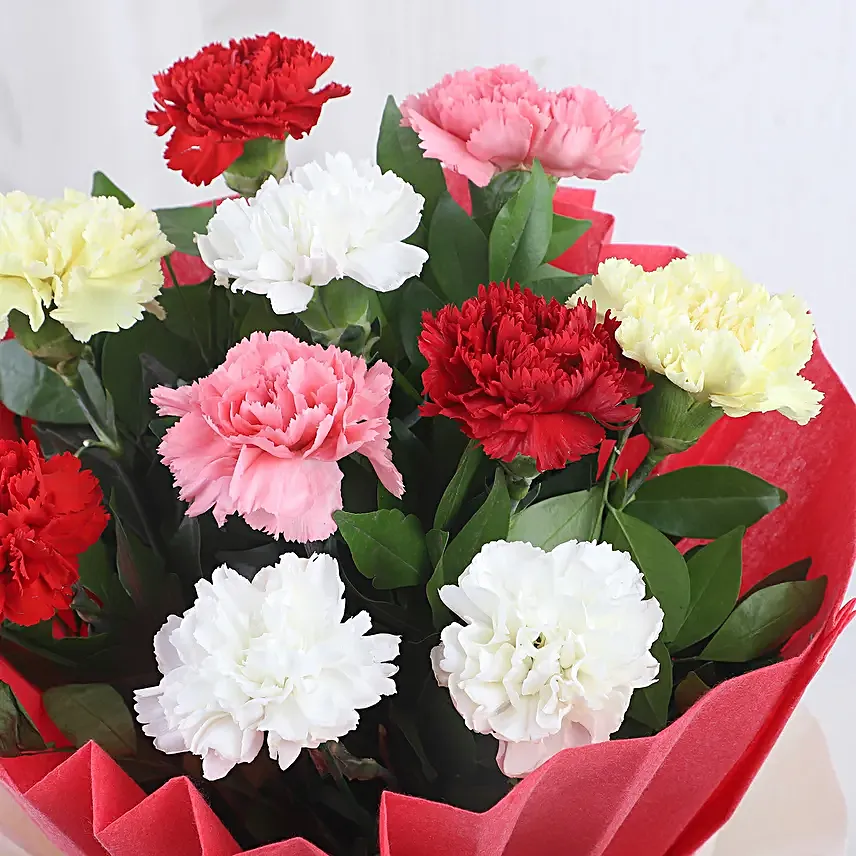 Mixed Colored For Love - Bunch of 10 mix color carnations.